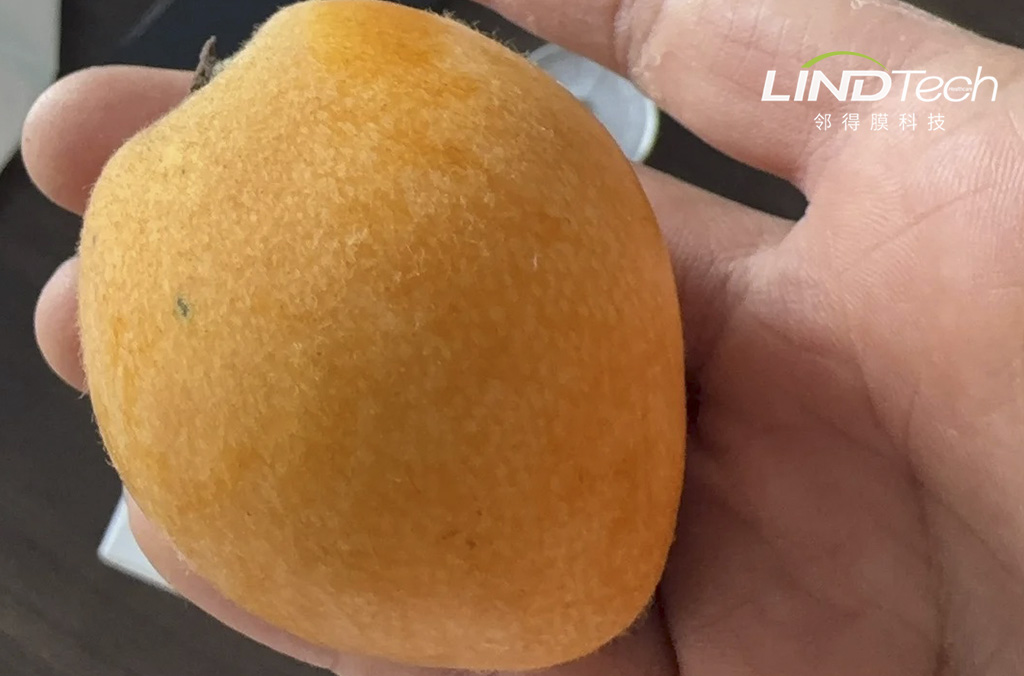 核孔膜～常溫物理保鮮自發氣調解決方案